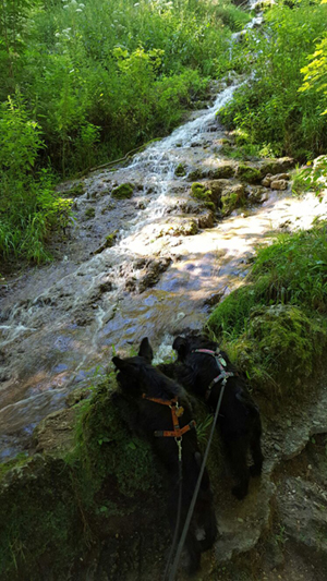 Bad Urach 2016 (5)