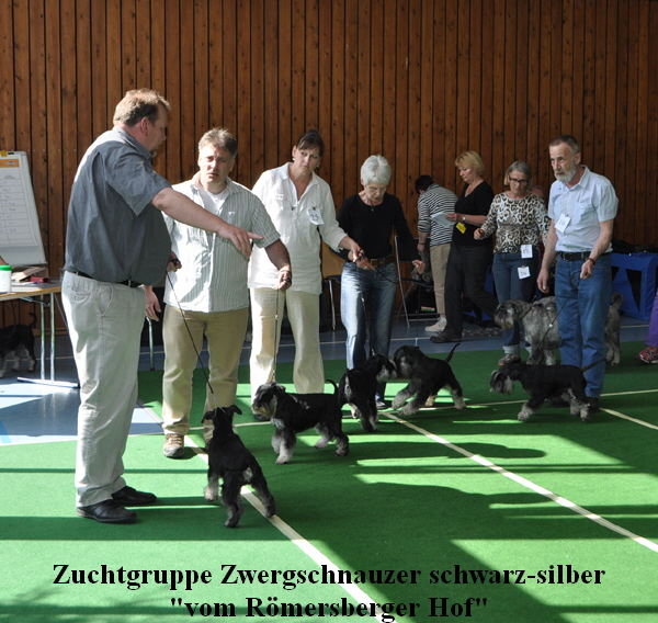 KSA Zuchtgruppe ZSss