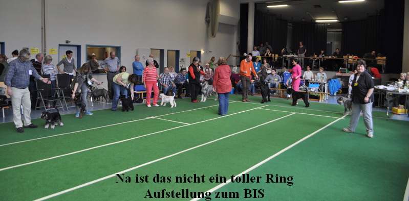 KSA aufstellung BIS