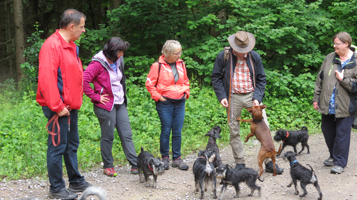 Wanderung Niedereschach 2016 (2)02 Wanderung Niedereschach 2016 (2)02