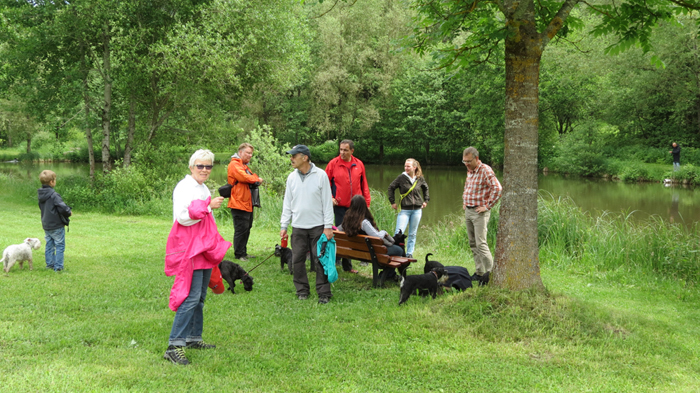 Wanderung Niedereschach 2016 (4)02 Wanderung Niedereschach 2016 (4)02