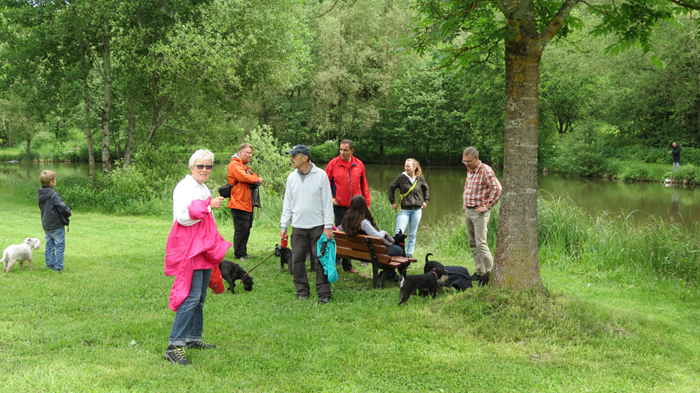 Wanderung Niedereschach 2016 (4)02