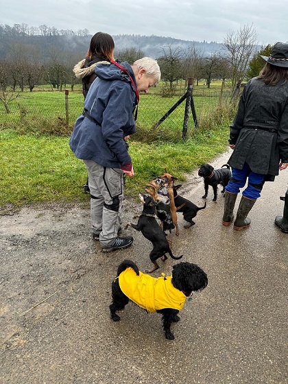 Weihnachtsfeier 2025