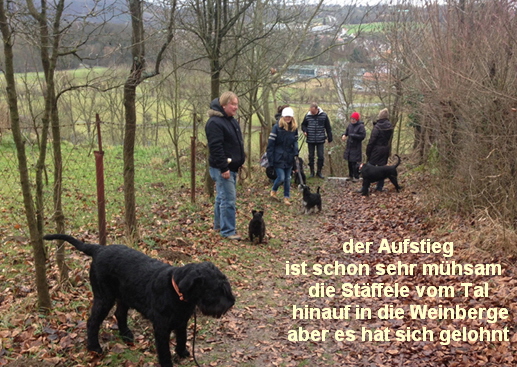 a_Januar_Wanderung_26.01_1