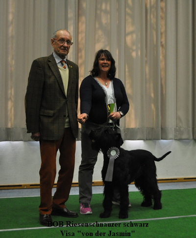 BOB Riesenschnauzer schwarz02