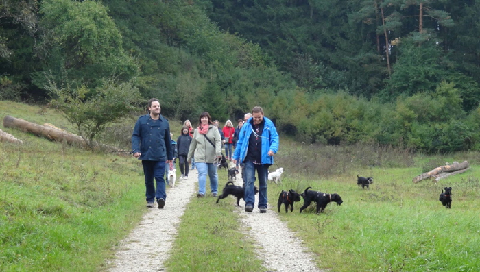 Balingen 2016 (9) Balingen 2016 (9)