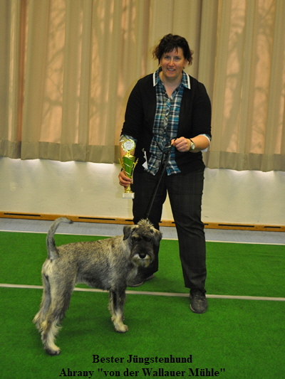 Bester J�ngstenhund02