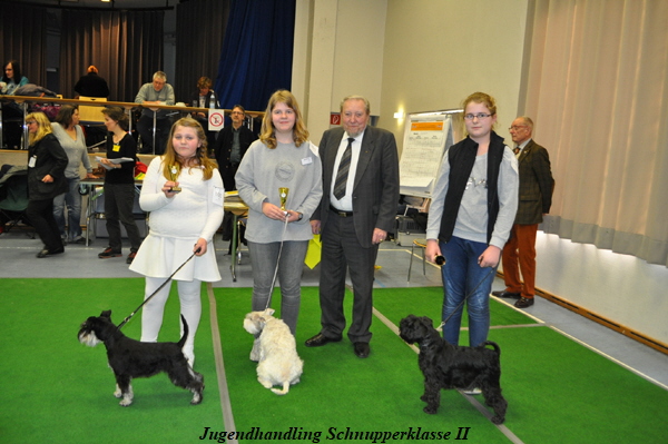 DSC_0330 Kopie