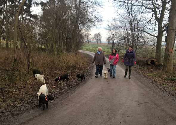 JHV Wanderung 2016-202 JHV Wanderung 2016-202