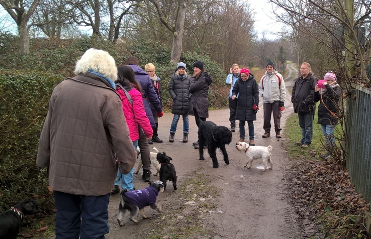 JHV Wanderung 2016-3 JHV Wanderung 2016-3