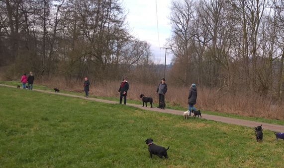 JHV Wanderung 2016-5 JHV Wanderung 2016-5