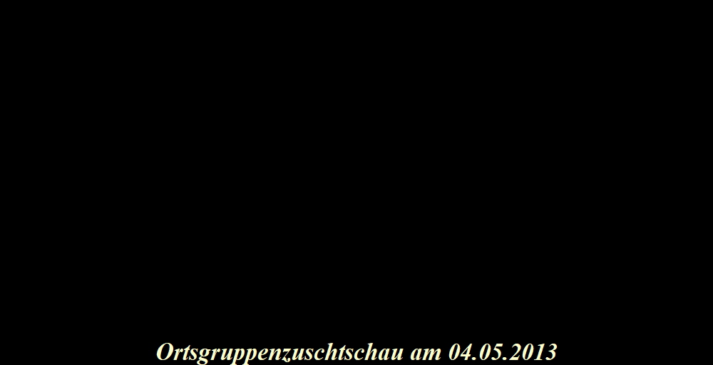 OG+ZZL 2013 02302