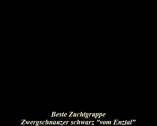 OG+ZZL 2013 035 Kopie