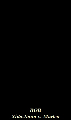 OG+ZZL 2013 06803