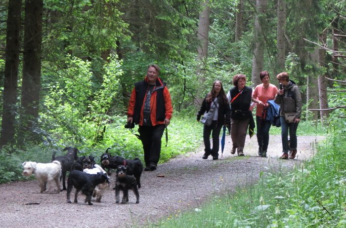 Wanderung Niedereschach 2016 (3) Wanderung Niedereschach 2016 (3)