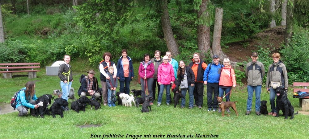 Wanderung Niedereschach 2016 (7) Wanderung Niedereschach 2016 (7)
